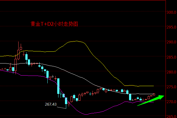 外汇期货股票比特币交易