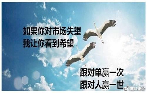 外汇期货股票比特币交易