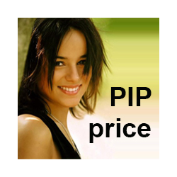 在MetaTrader市场购买MetaTrader 4的'Pip price' 交易工具