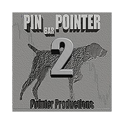 在MetaTrader市场购买MetaTrader 4的'Pin Bar Pointer 2' 技术指标