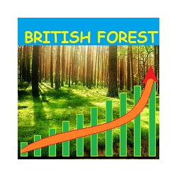 在MetaTrader市场购买MetaTrader 4的'British Forest' 自动交易程序（EA交易）