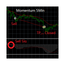 在MetaTrader市场购买MetaTrader 4的'M5M TF' 自动交易程序（EA交易）