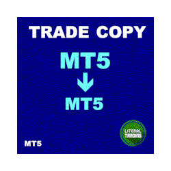 在MetaTrader市场购买MetaTrader 5的'LT Trade Copy MT5' 交易工具