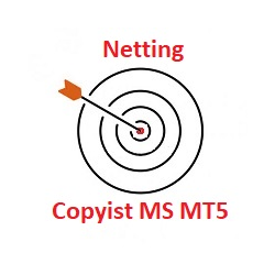 在MetaTrader市场购买MetaTrader 5的'Copyist MS MT5 netting' 交易工具