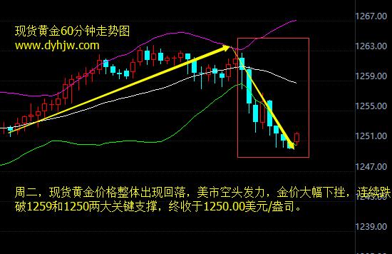 外汇期货股票比特币交易