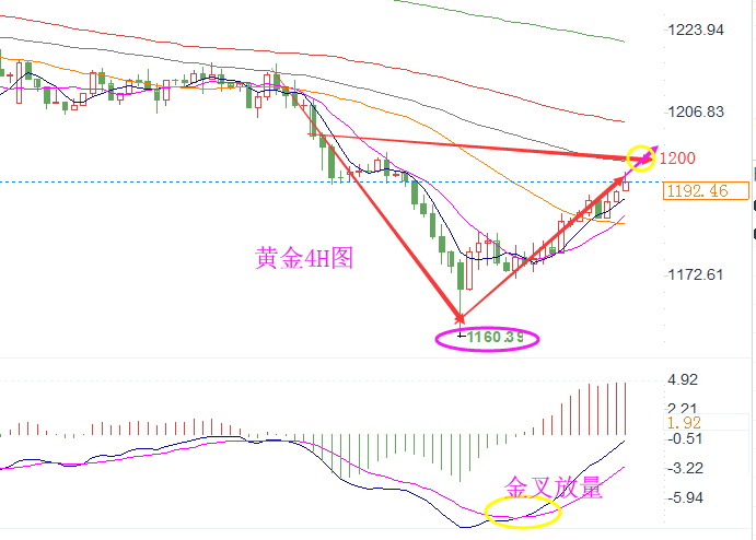 外汇期货股票比特币交易