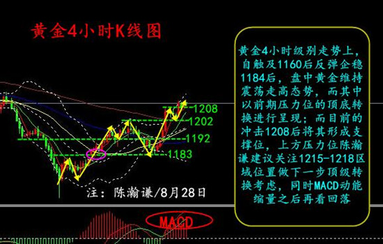 外汇期货股票比特币交易