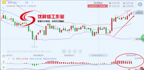 外汇期货股票比特币交易