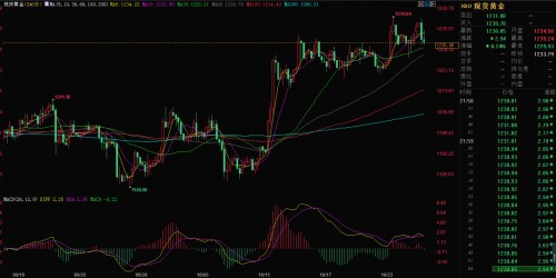 外汇期货股票比特币交易