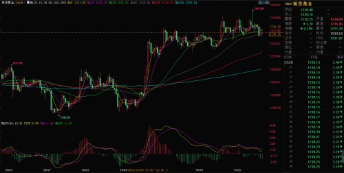 外汇期货股票比特币交易