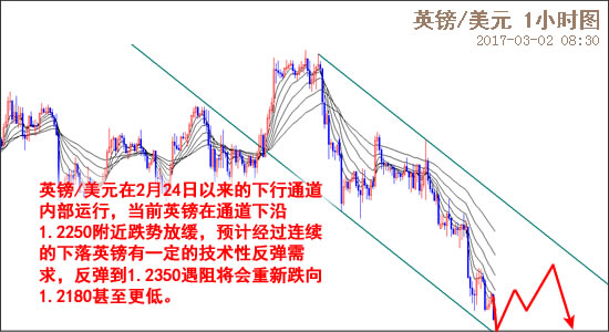 外汇期货股票比特币交易