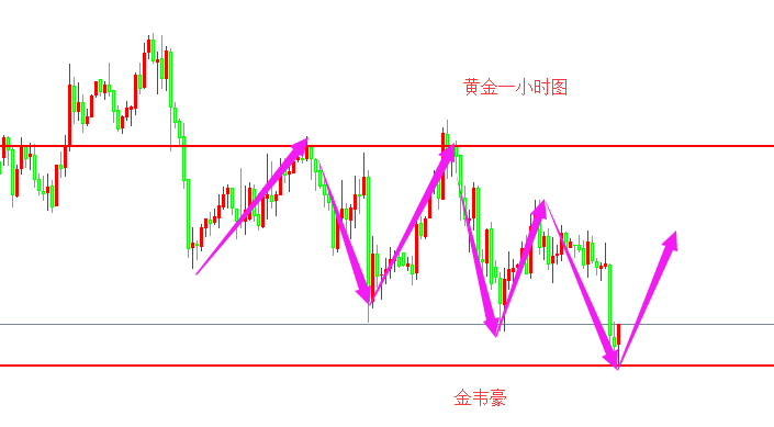 外汇期货股票比特币交易