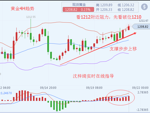 外汇期货股票比特币交易