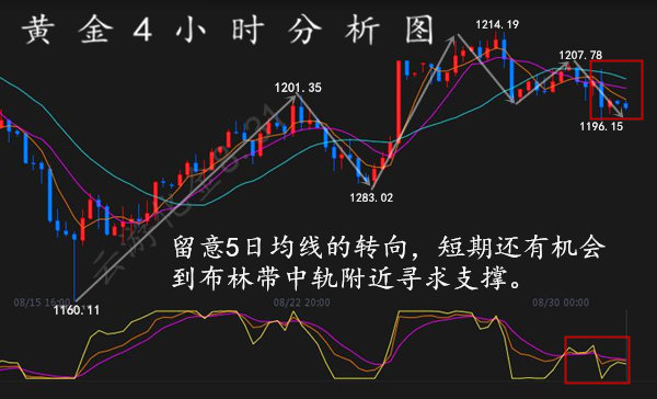 外汇期货股票比特币交易