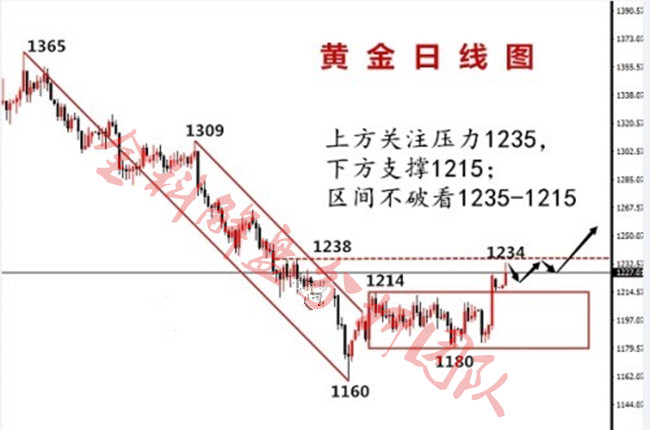 外汇期货股票比特币交易