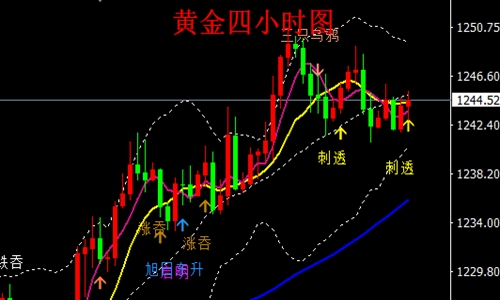 外汇期货股票比特币交易