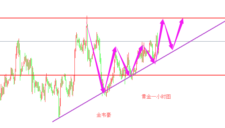 外汇期货股票比特币交易